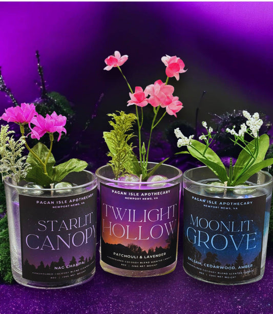 Magical Forest & Flame Candles