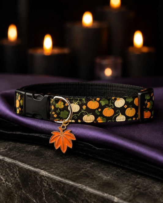 Autumn Harvest Collar