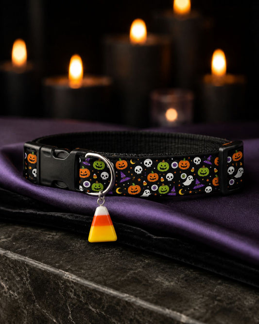 Trick R Treat Collar