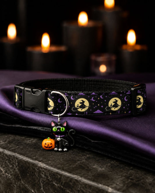 Halloween Nights Collar
