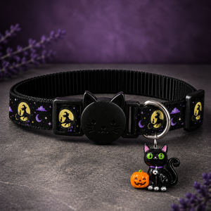Halloween Nights Collar