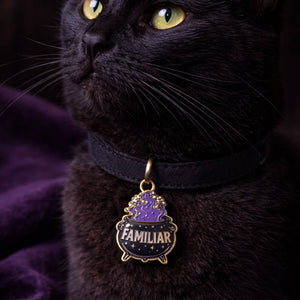 Black cat wearing a collar with a 'Familiar' charm on a dark background