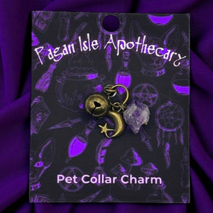 Moon & Star Collar Charm