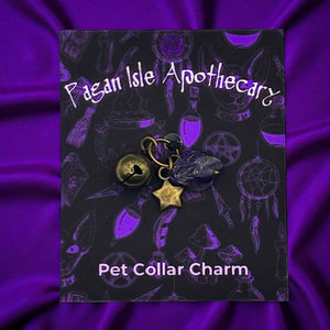 Solid Star Collar Charm